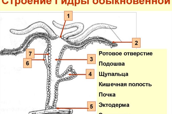 Что продают на кракене