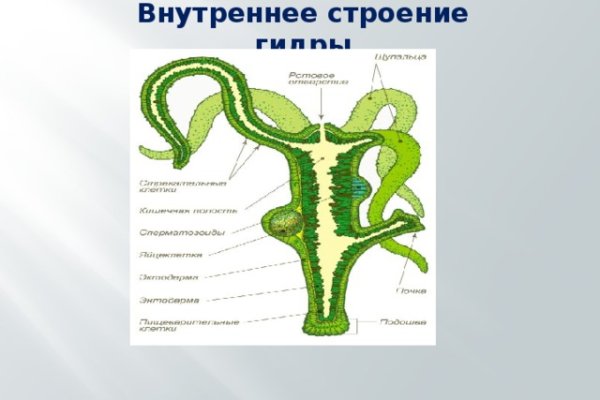 Официальный сайт kraken ссылки зеркала