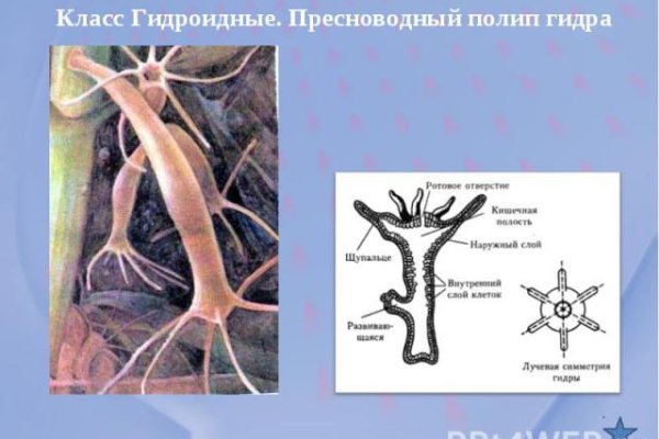 Кракен как зарегистрироваться