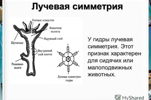 Что такое кракен только через тор