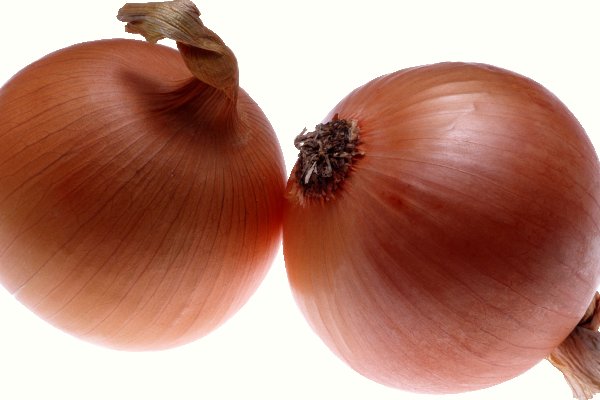 Kraken istand onion