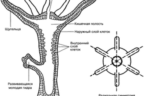 Кракен вход kr2web in